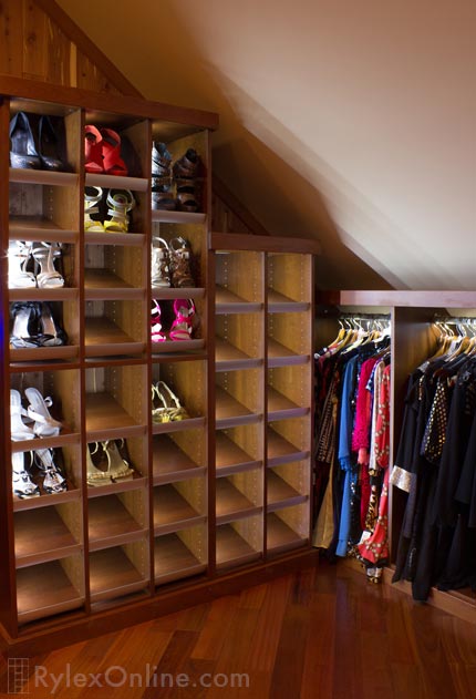 Lighted Shoe Cubbies in Closet