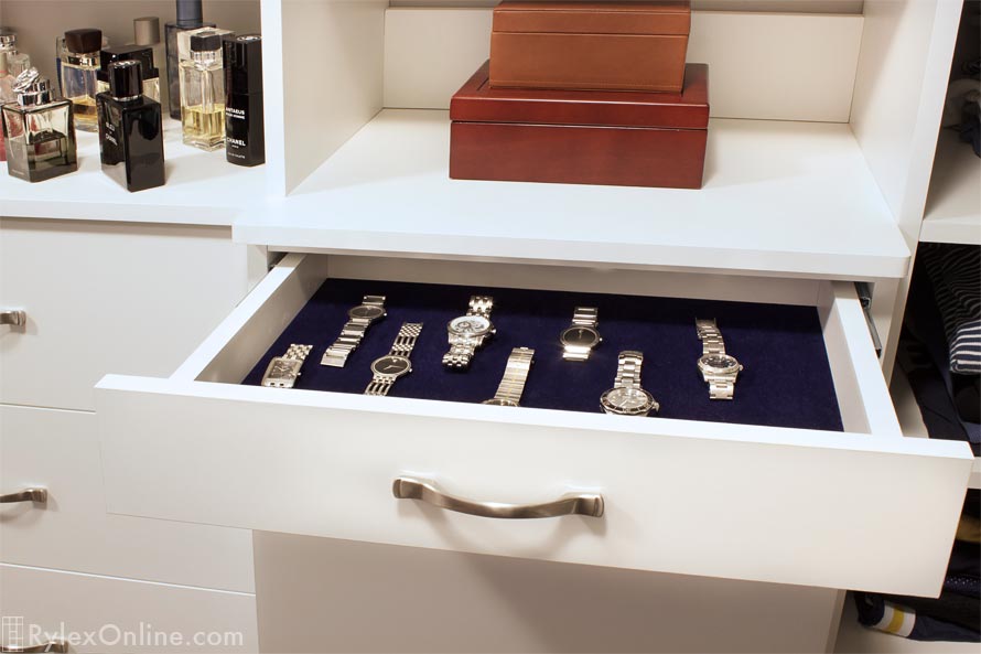 Well Dressed Man's Watch Drawer