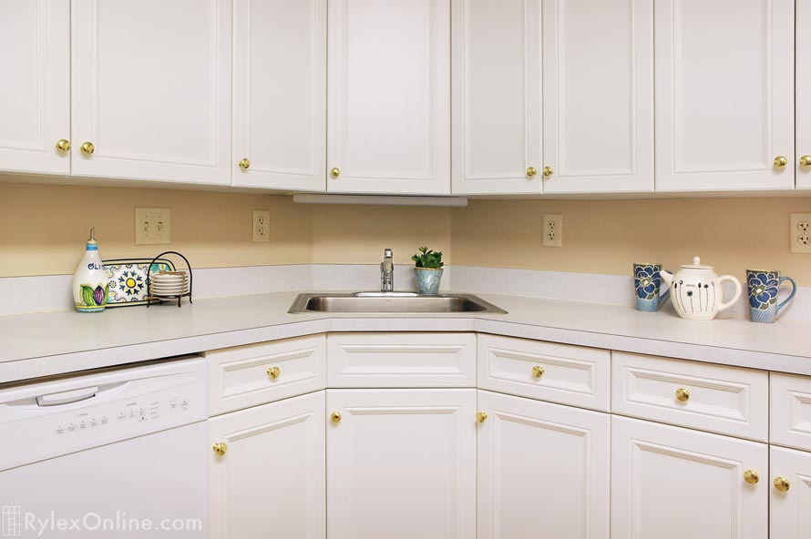 Kitchen Remodel with Cabinet Refacing
