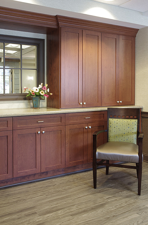 Organized Stoarge Cabinetry for Caregivers