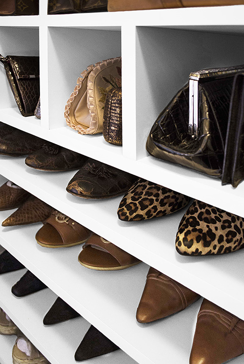 Shoe and Purse Closet Shelves