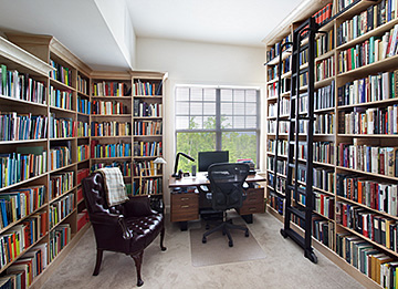 Bookcases, Home Library and Displays