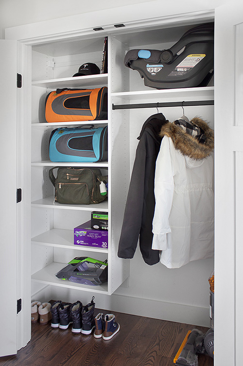 Closet Storage for Pet Travel Cases