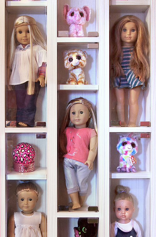 Display Cases for Doll Collections Close Up