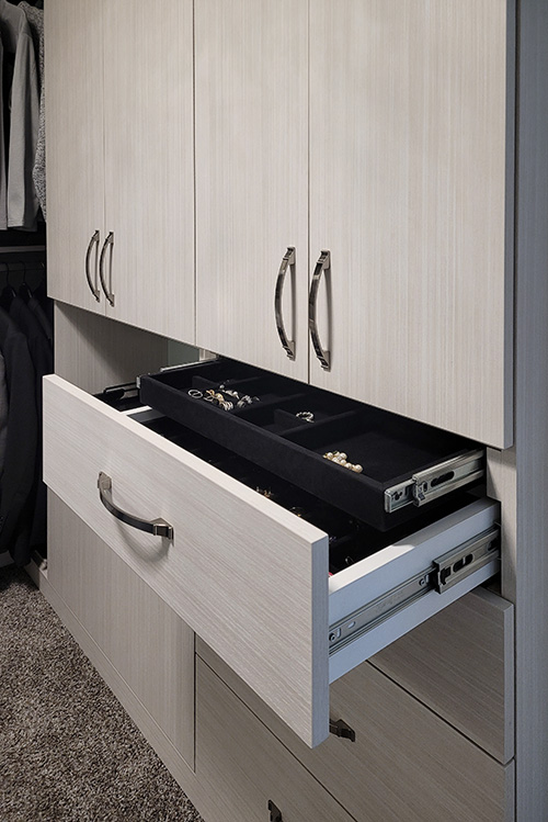 Primary Walk-In Closet with Full Length Mirror Insert in Cabinet Door