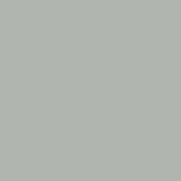 Canadian Grey Cabinet Door Color