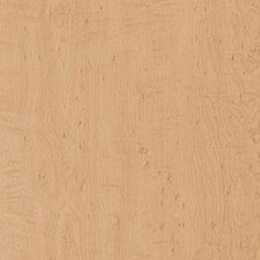 Limber Maple