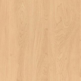 Kensington Maple