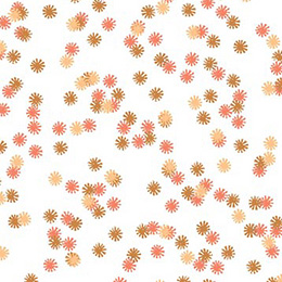 Apricot Glow Daisy