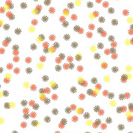 Autumn Lights Daisy