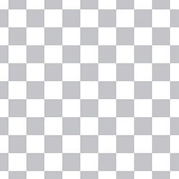 Checkered Slacks