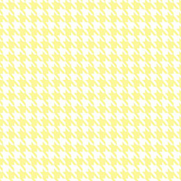 Chic Houndstooth