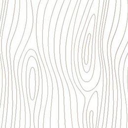 Coffee Bean Grain