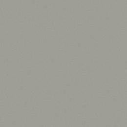 Dove Grey