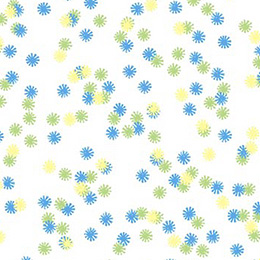 Field Daisy