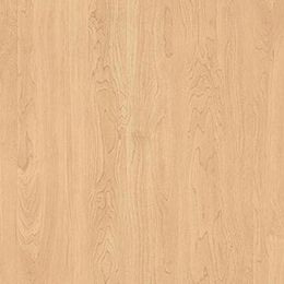 Kensington Maple