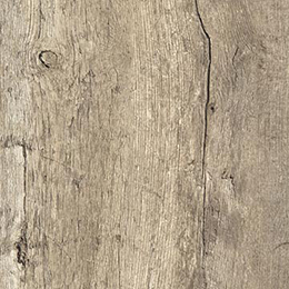 Rediscovered Oak