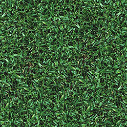Turf