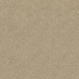 Western Suede
