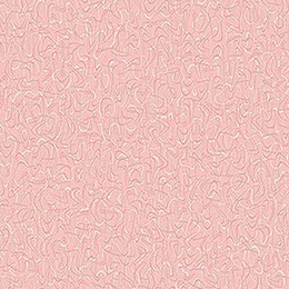 Retro Pink Lady