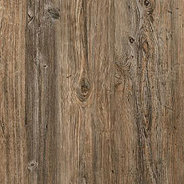 Lost Pine