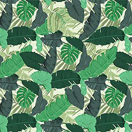 Lush Jungle