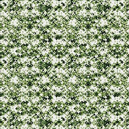 Canopy