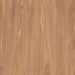 Cedar