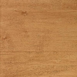Autumn Stain on Hard Maple