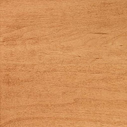 Ginger Stain on Hard Maple