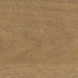 Portabella Stain on Hard Maple