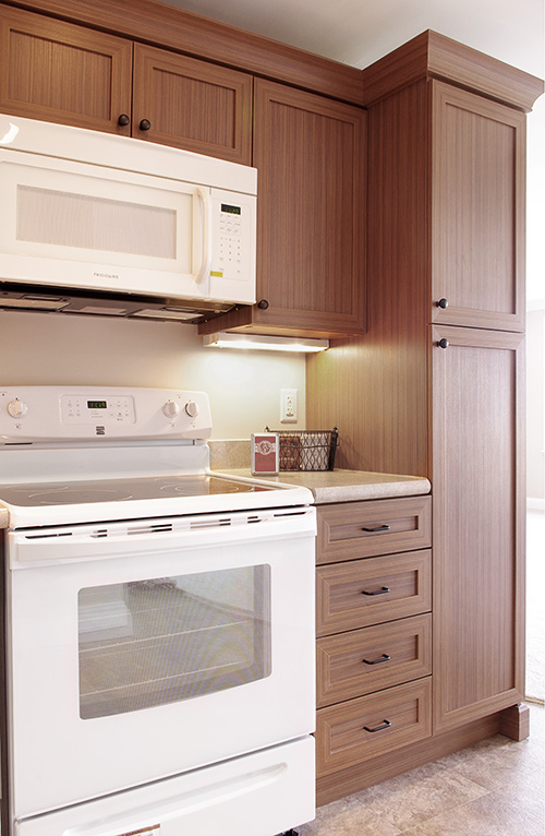 Shaker Door Kitchen Cabinets with Under Cabinet Lighting