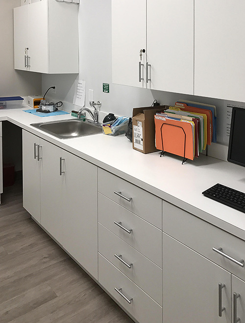 Dental Office Lab Cabinets with White Counter