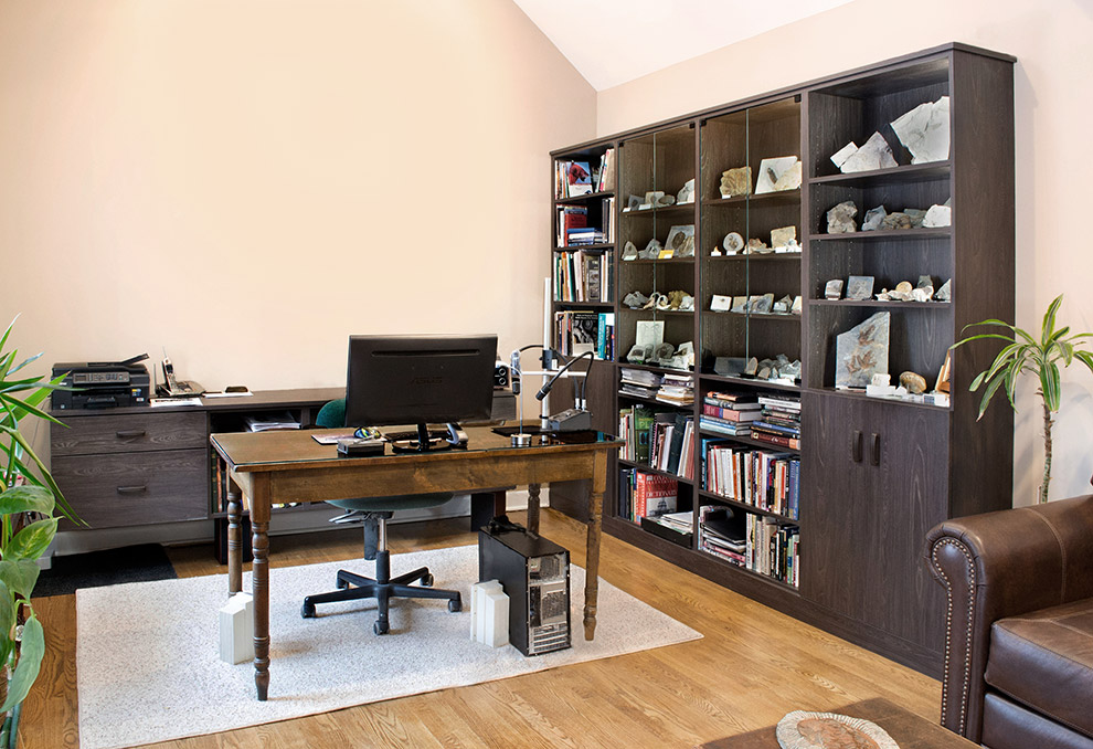 Fossil Display Cabinet in Home Office