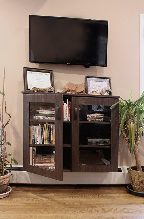 Home Office Display Cabinet