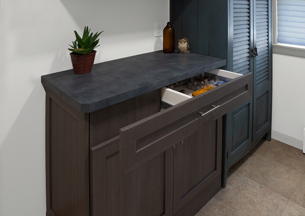 Laundry Drawer Configured to Conceal Shoe Cabinet