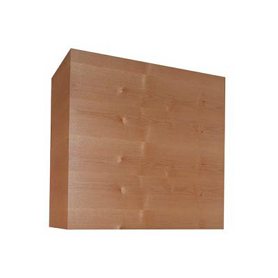 BX Series Range Hood